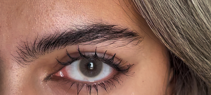 Queen Brown on dark eyes